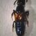 Eulissus rutilus (Staphylinidae)