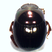 Canthidium sp. (Scarabaeinae)