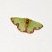 Mariposa verde esmeralda
