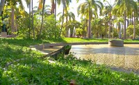 IMG 20171110 215855 247