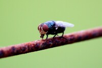 IMG 0797