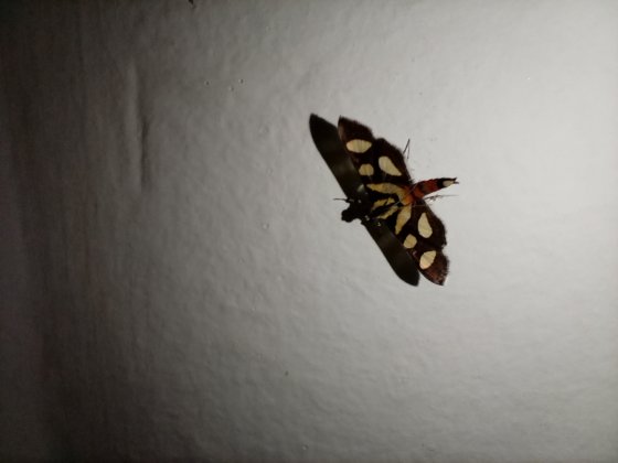 IMG 20220401 131627 464